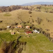 Urșici Foto Daniel Guță ADEVĂRUL (3) JPG