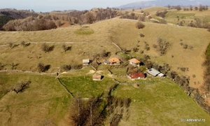 Urșici Foto Daniel Guță ADEVĂRUL (3) JPG