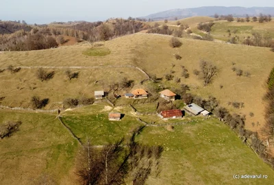 Urșici  Foto Daniel Guță ADEVĂRUL (3) JPG