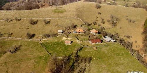 Urșici  Foto Daniel Guță ADEVĂRUL (3) JPG