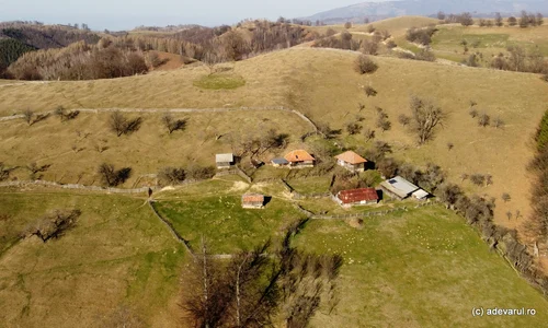 Urșici  Foto Daniel Guță ADEVĂRUL (3) JPG