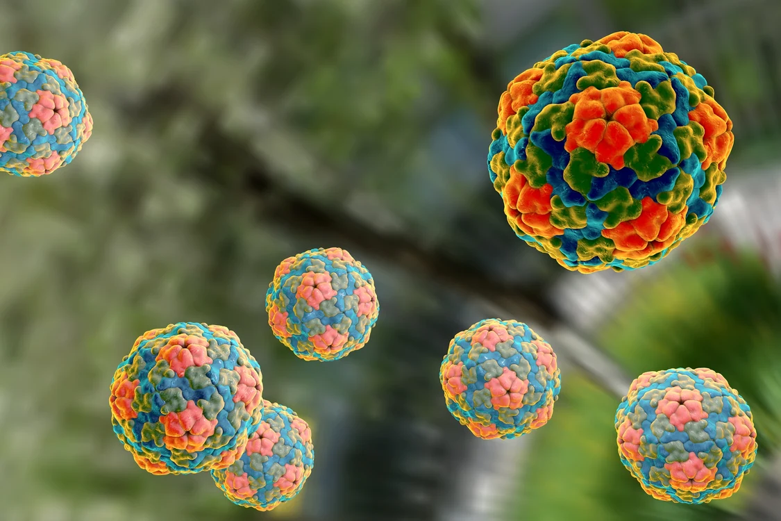 
    Bolnavii de hepatita A simt disconfort în zona abdominală  
