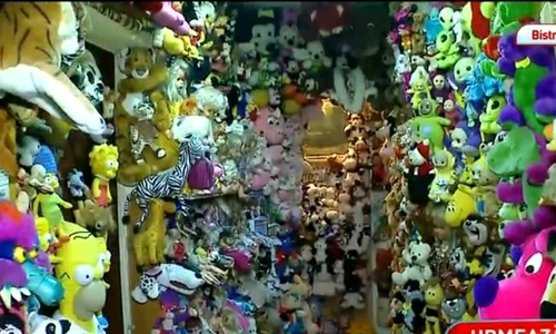 casa cu papusi3 jpeg
