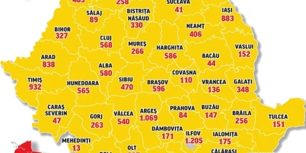 locuri de munca
