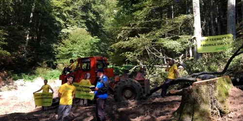 greenpeace romania la maneciu