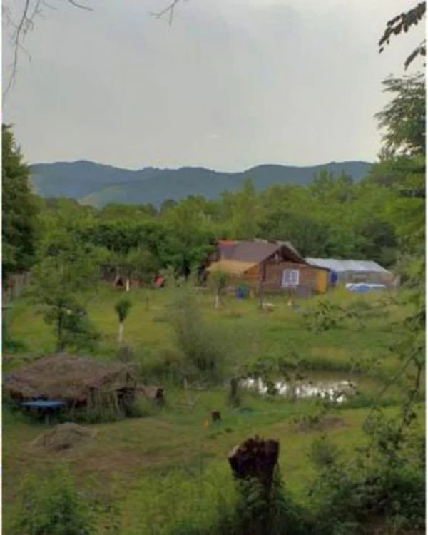 
    Aici este „paradisul” din mijlocul naturii  