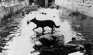 Tarkovski în oglinda creştinismului jpeg