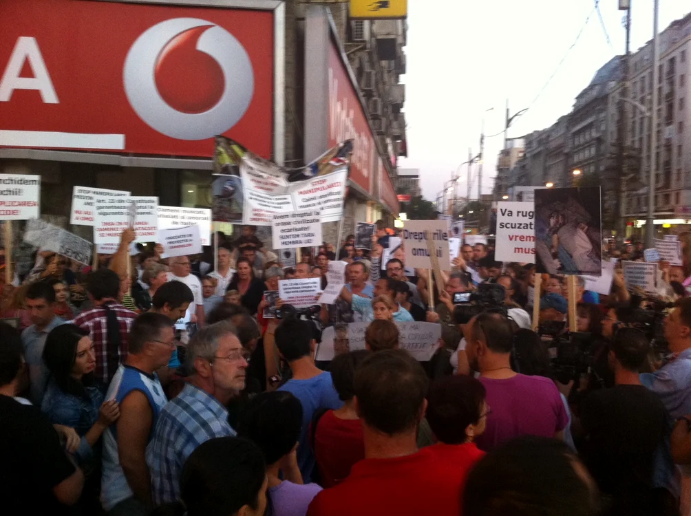 Protest maidanezi