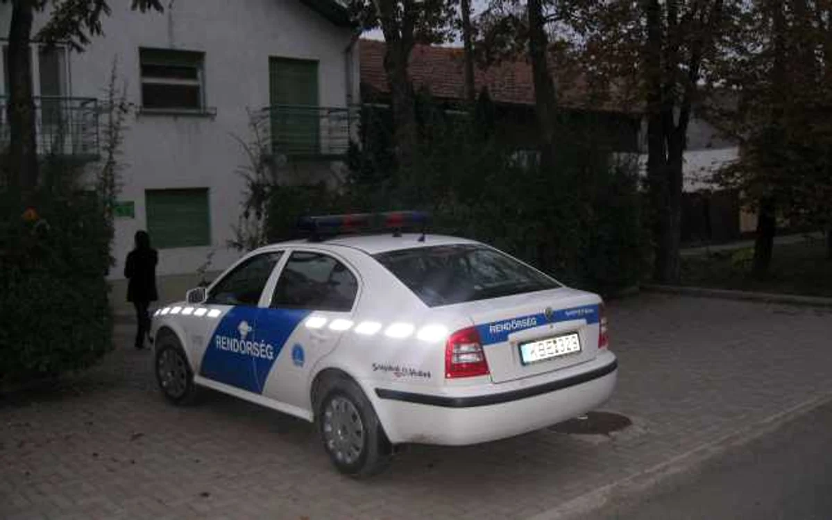 Arad: GALERIE FOTO/ Bărbatul cu casa vandalizată de partizani are vecin ungur poliţist
