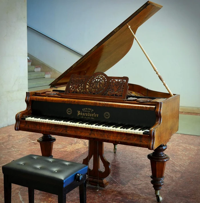 Un pian Bösendorfer pentru public, la Muzeul Național de Artă al României