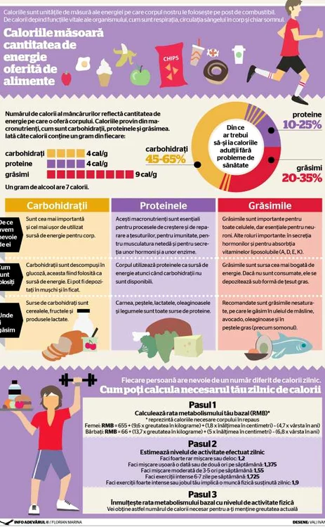 infografic 2