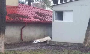 femeie moarta spital jpeg