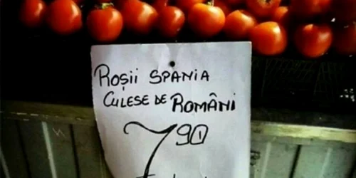 rosii in piata foto