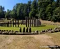 Saemizegetusa Regia  Foto Daniel Guță, ADEVĂRUL (5) jpg