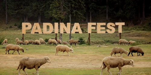 padina fest