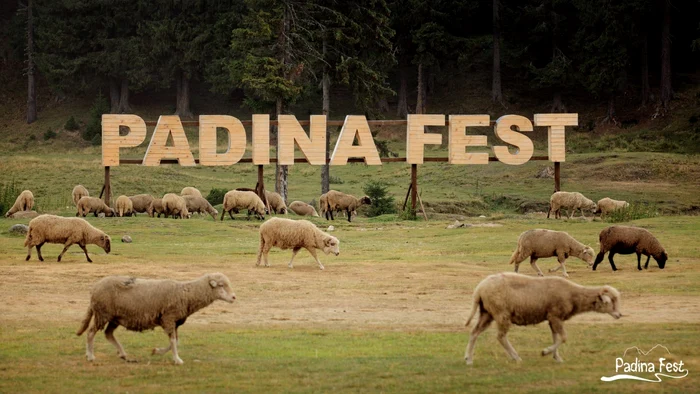 padina fest