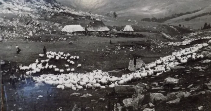 oieri poiana sibiului foto emil fischer