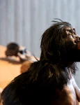 Lucy (Australopithecus afarensis), reconstituire șa Neanderthal Museum din Mettmann (© Wikimedia Commons)