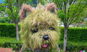 caine flori shanghai profimedia (1) jpg