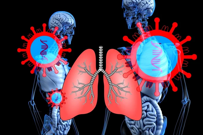 Noul coronavirus pătrunde în organism prin nas, gură și chiar ochi. Virusul afectează foarte grav mai ales plămânii persoanelor în vârstă