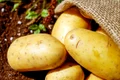potatoes 1585060 1280 jpg