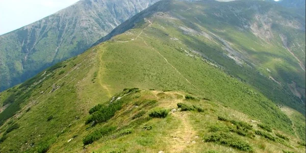 dealul chiciora arges foto Site123 jpg