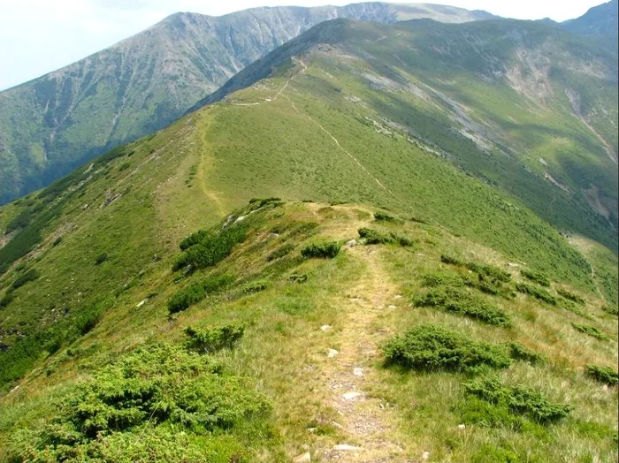 Dealul Chicioara din Argeș are o altitudine de 1.218 metri FOTO Site123