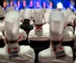 Kolping Timișoara la Olimpiada Gastronomică de la Stuttgart FOTO Casa Calfelor Kolping