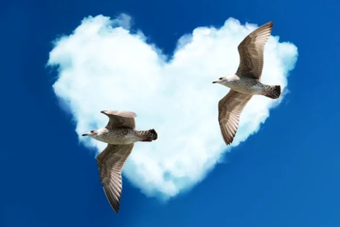 
    Dragostea este excelentă în această lună pentru nativii Capricornwww.clickpentrufemei.ro  