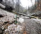Valea Tatausului Foto Daniel Guță ADEVĂRUL (34) jpg