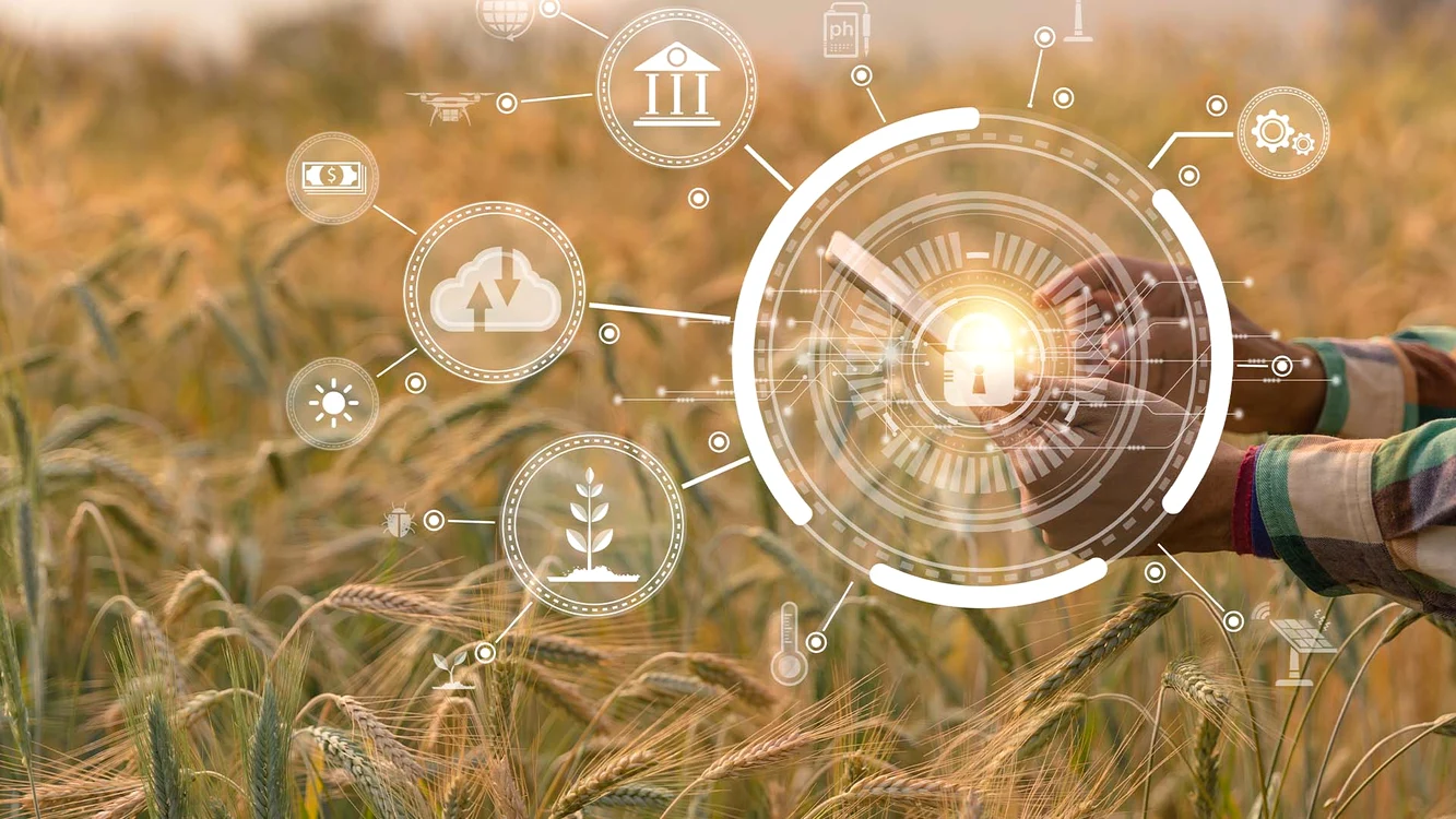 Cum să crești o afacere agricolă sustenabilă jpg
