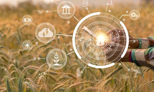 Cum sa╠å cres╠ªti o afacere agricola╠å sustenabila╠å jpg