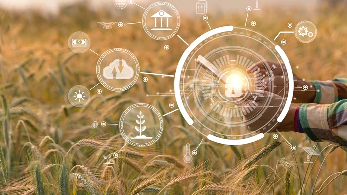 Cum sa╠å cres╠ªti o afacere agricola╠å sustenabila╠å jpg