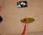 targ martisor bistrita 4