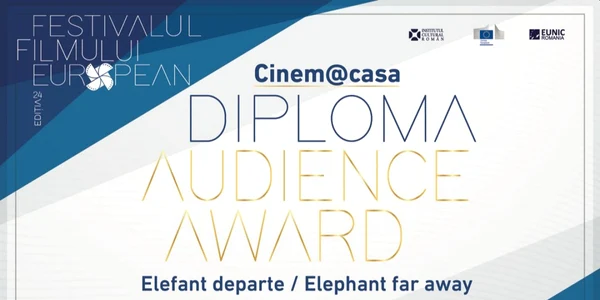 diploma ffe