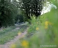Cetatea dacică Piatra Roșie și valea Luncanilor Foto Daniel Guță ADEVĂRUL (23) JPG