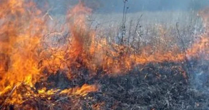 La faţa locului s-au deplasat pompierii din Focşani şi cei din Tătăranu