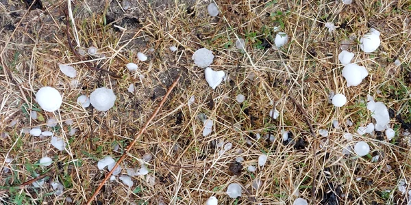 Bucăți de grindină căzute în zona Horezu Vâlcea Foto Horezu Real Page