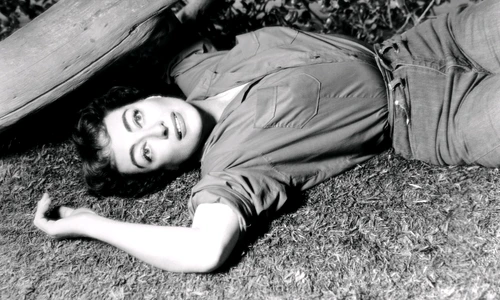 2 profimedia 0487867732 jpg jpeg