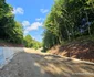 Transalpina metaliferilor Foto Daniel Guță ADEVĂRUL (71) jpg