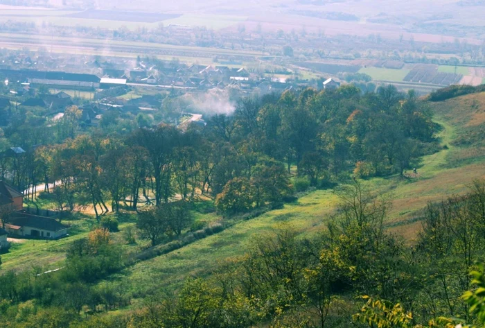 valea lunga alba