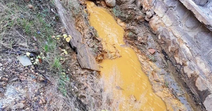 Poluare pe Râul Cavnic FOTO Prefectura Maramureş