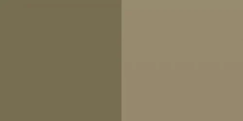 Microbuzele şcolare nu pot fi folosite până nu intră în legalitate