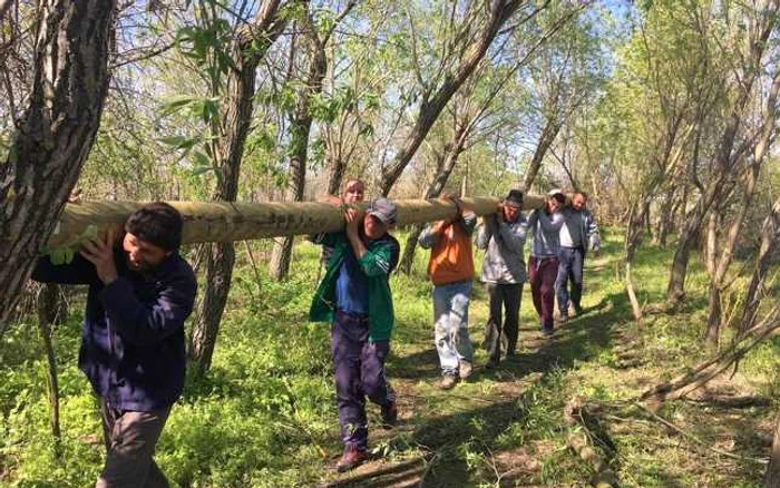 Exasperaţi, locuitorii din Tg. Bujor au pus mâna să repare ei avariile la reţea FOTO Laurenţiu Gâdei