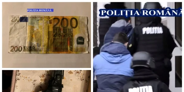 perchezitii rezultate alba