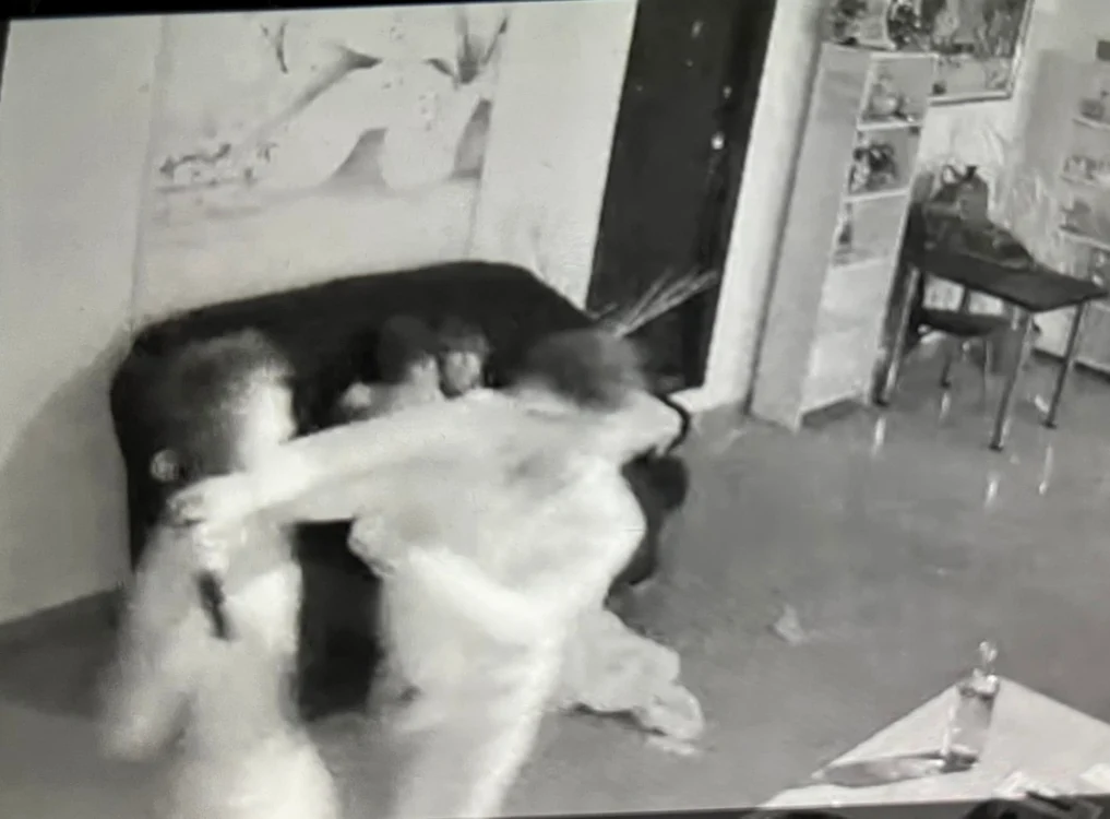 Captură video