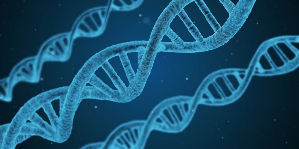 Genă umană capabilă să ţină la distanţă majoritatea virusurilor gripei aviare, izolată de cercetători 