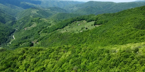 fetele albe foto daniel guta adevarul