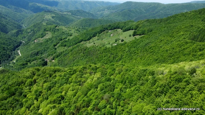 fetele albe foto daniel guta adevarul