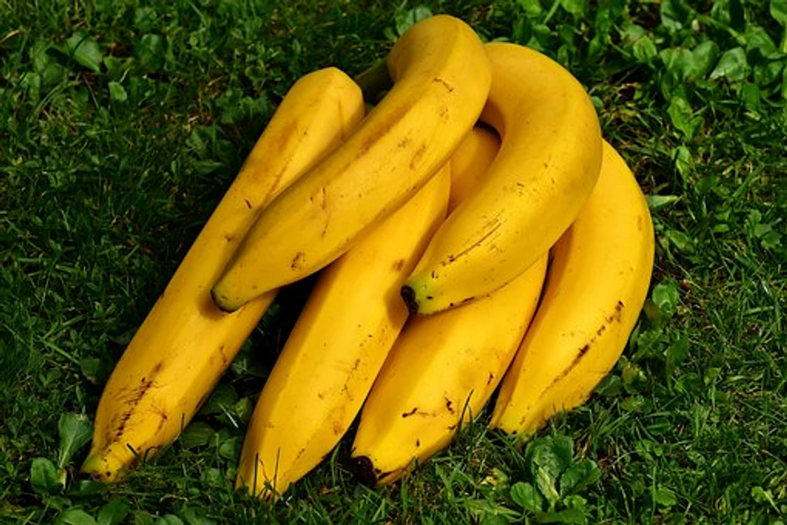 bananas 1642706  340 jpg jpeg